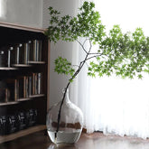 Glass Clear Vases